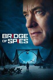 Bridge of Spies (2015) Hindi Dubbed